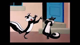 Penelope Pussycat & Pepé Le Pew Wooing Compilation - Looney Tunes