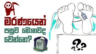 මැරුණට පස්සේ අපිට මොකක්ද වෙන්නේ?