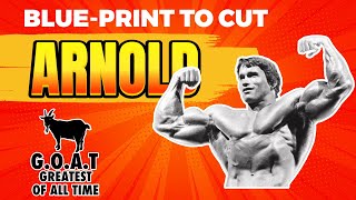 Arnold Schwarzenegger's Blueprint To Cuts Training Program