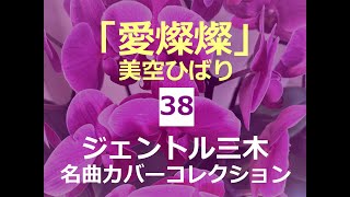 愛燦燦（美空ひばり）／ジェントル三木名曲カバーコレクション㊳