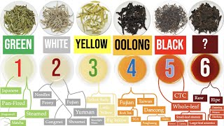 Discover the 6 Tea Types and a WORLD of Awesome Tea Sub-Types | Masterclass on T