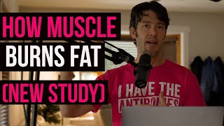 Muscle Burns Fat, Marbled 'Meat' in Humans Linked to Insulin Resistance