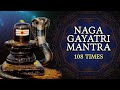 Om Navakulay Vidmahe | Naga Gayatri Mantra 108 Times With Lyrics | Naag Panchami Special 2024