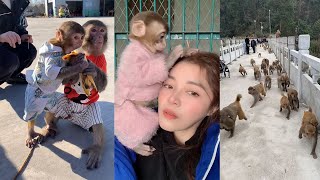 The Best of Monkey Videos - A Funny Monkeys Compilation Ep28
