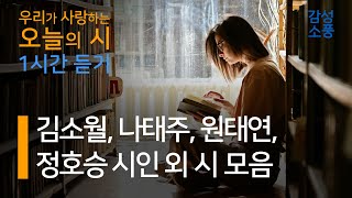 오늘의 시｜잠들때 듣는 아름다운 시낭송 모음｜김소월, 나태주, 류시화, 문정희, 원태연, 정호승 시인 외｜좋은글｜좋은시｜유미숙｜오디오북｜감성소풍