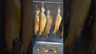 Smoked Trout 🐡