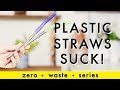 Plastic Straws Suck! Zero Waste Series | Alli Cherry