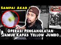 TUTORIAL ❗ MENGHILANGKAN JAMUR KAPAS PADA CHANNA YELLOW MARU