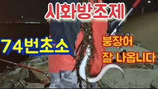 #시화방조제낚시#시화방조제원투낚시#시화방조제야간원투낚시/4월30일 74번초소 붕장어낚시