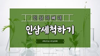 [백산인삼] 인삼농가에서의 인삼세척법