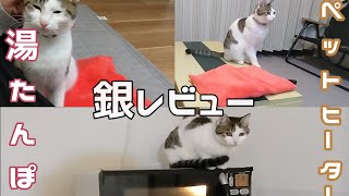 猫×湯たんぽ　猫にペットヒーターレビューのお願い