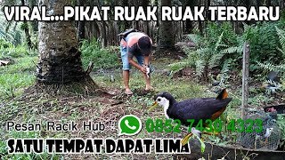 Playtube Pk Ultimate Video Sharing Website