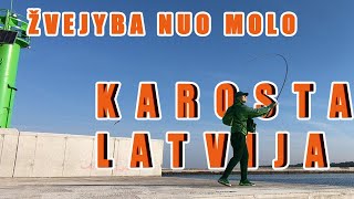 Žvejyba nuo MOLO Karostos kanalas