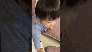 クッションで遊ぶ1歳児 #赤ちゃん #baby #1歳7ヶ月 #shorts