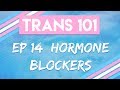 Trans 101: Ep 14 - Hormone Blockers [CC]