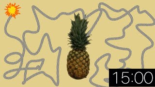 15 Minute Timer Pineapple Explosion