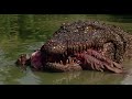 Killer Crocodile (1989) - In Five Minutes