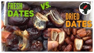 Fresh Dates vs Dried Dates