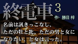 《せいげんが付きました》終電で終着駅まで乗ってきた男女は、名前を教えあうことなく、オスとメスになりきり、本能を剥き出しにしていった――《終電車3》《勝目 梓》《官能》《サスペンス》