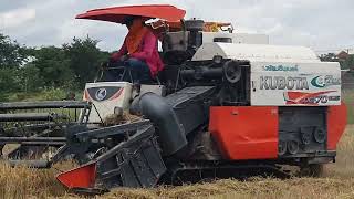 ម៉ាស៊ីន​ច្រូតស្រូវស្រែ 2022, Kubota Rice Harvester 2022