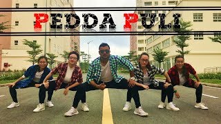 Pedda Puli | Nithiin, Megha Akash | Santosh Choreography