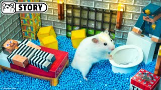 🐹 Hamster Escapes the Minecraft Prison Maze 🐹 Hamster flushed down the Toilet 🐹 Homura Ham