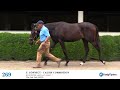 hip 269 ftkjul22 connect causin commotion