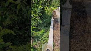 5 cents land at Valoor | Koratty - Pulikkakadavu route | Thrissur dt | Price 1.70 lakhs/cent