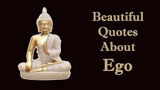 Great buddha Quotes about Ego 🦸 | Buddha Quotes in English | Best Quotes | Whatsapp Status Quotes |