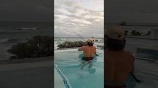 CATCHING SHARK FROM POOL