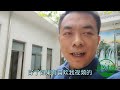 庭院葡萄怎么修剪你知道吗？不要心疼该剪就剪，通风透光最重要