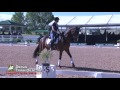 dressage judge and trainer axel steiner training second level test one