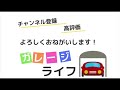 ゴールド免許の更新手続きに行ってきた！その方法とゴールドの特典は？