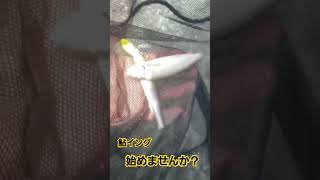 鮎イング始めませんか？