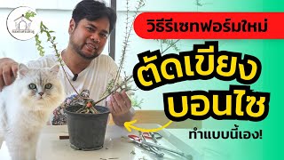 ตัดเขียงเพื่อรีเซทฟอร์มไม้ แบบตัดกันจนกุด มาดูกันว่าทำอย่างไร ทำไปเพื่ออะไร