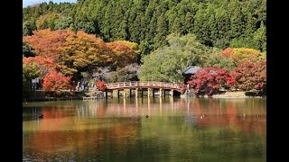 8K HDR 福島　白水阿弥陀堂（国宝）と浄土式庭園（史跡）Fukushima, Shiramizu Amidado(National Treasure)  Garden(Historic Site)