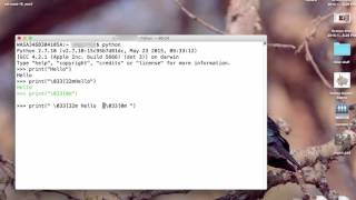 Using ANSI Color Codes with Python in OSX's Terminal