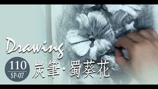 炭筆素描示範《蜀葵花》- 王文詵