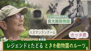 【宇部】ときわ動物園のルーツとカッタ君秘話　＃カッタ君　＃津山奈穂子 ＃yab ＃Jチャンやまぐち　＃YOU！どきっ