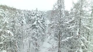 極上のパウダー！北海道の隠れたスノースポット／名寄（なよろ）