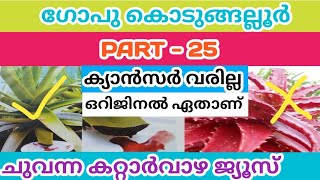 HOW TO MAKE RED ALOE VERA JUICE || A 2 Z MALAYALAM CHANNEL || RED ALOE VERA || GOPU KODUNGALLUR