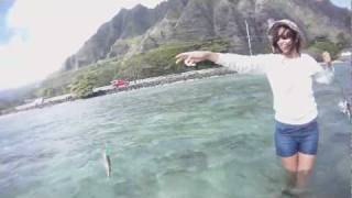 BSFO - December 10, 2011 Fishing @ Kualoa 4 of 12