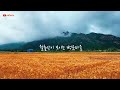 ubfarm 보리가 익어가는 아름다운 5월의 풍경 rural scenery in may when barley ripens