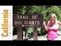 Giant Sequoia National Monument - Trail of 100 Giants Travel Guide | California Travel Tips