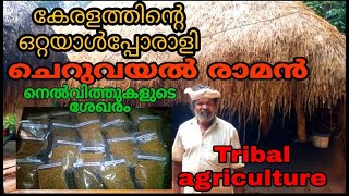 പരമ്പരാഗത കൃഷിക്കാരനായ രാമേട്ടന്റെ കൈയിൽ ഉള്ളത് 30-ൽ പരം നെൽവിത്തുകൾ /Seeds collection of Tribal man