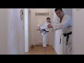 karate fitness training at home 10【tekki shodan 鉄騎初段】誰でも自宅で空手フィットネス・レッスン１０【akita s karate video】