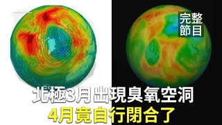 【新唐人大千世界】北極3月出現臭氧空洞  4月竟自行閉合了｜印尼偏鄉奇景 樹根繞成橋助兩岸村民過河（2020/05/08完整版）