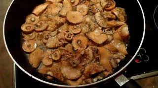 Saffron milk-cap mushroom recipe