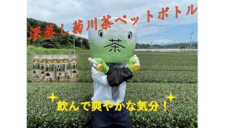 【一度飲んでみて！】茶ラリーマンの元気の源は深蒸し菊川茶ペットボトル！