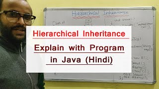 Hierarchical Inheritance in Java with example program | Java Tutorial - 43